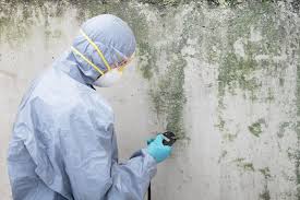 Best Air Quality Testing for Mold Spores  in Ellsworth, KS